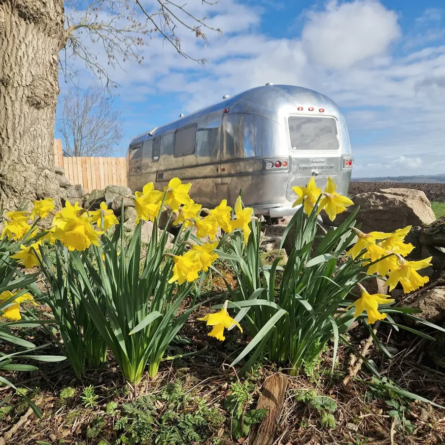 COMING SOON! Airstream Adventures: A Unique Stay in Aberdeenshire, Scotland
