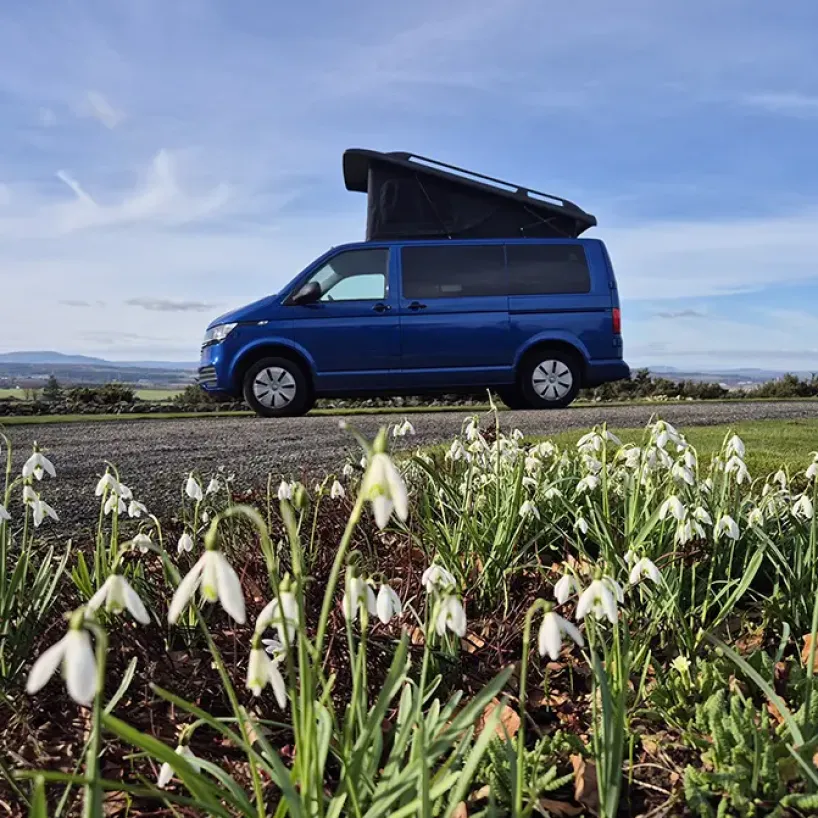 Introducing Van Halen: Our New Royal Blue VW T6.1 Campervan for Scottish Adventures